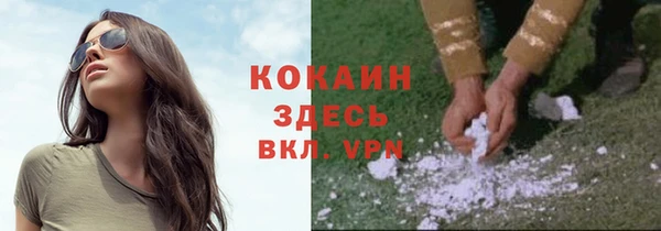 PSILOCYBIN Абдулино
