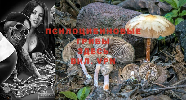 PSILOCYBIN Абдулино
