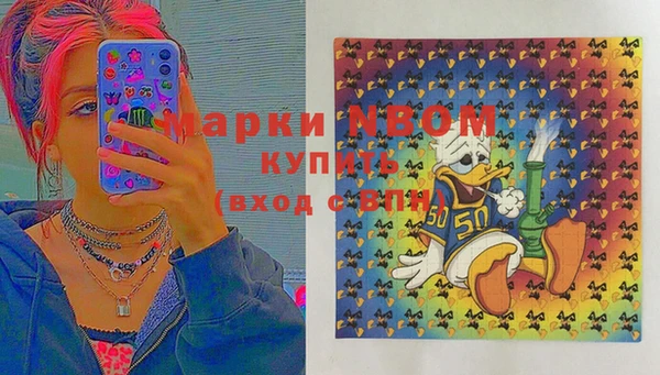 бошки Осинники
