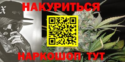 прущие грибы Обь