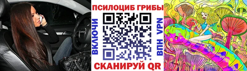 Псилоцибиновые грибы мицелий  блэк спрут зеркало  Торжок  где найти  