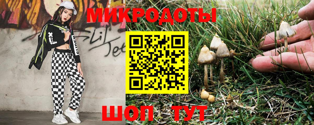 Торжок  Галлюциногенные грибы Magic Shrooms  Вход с VPN 